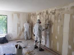 Why You Should Choose Our Mold Remediation Services in Oak Trail Shores, TX